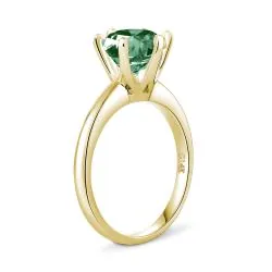 Anillo Walk together