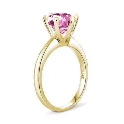 Anillo Walk together
