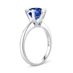 Anillo Walk together