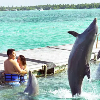 Testimonio de Franccesca Ibañez y Diego Rosado 